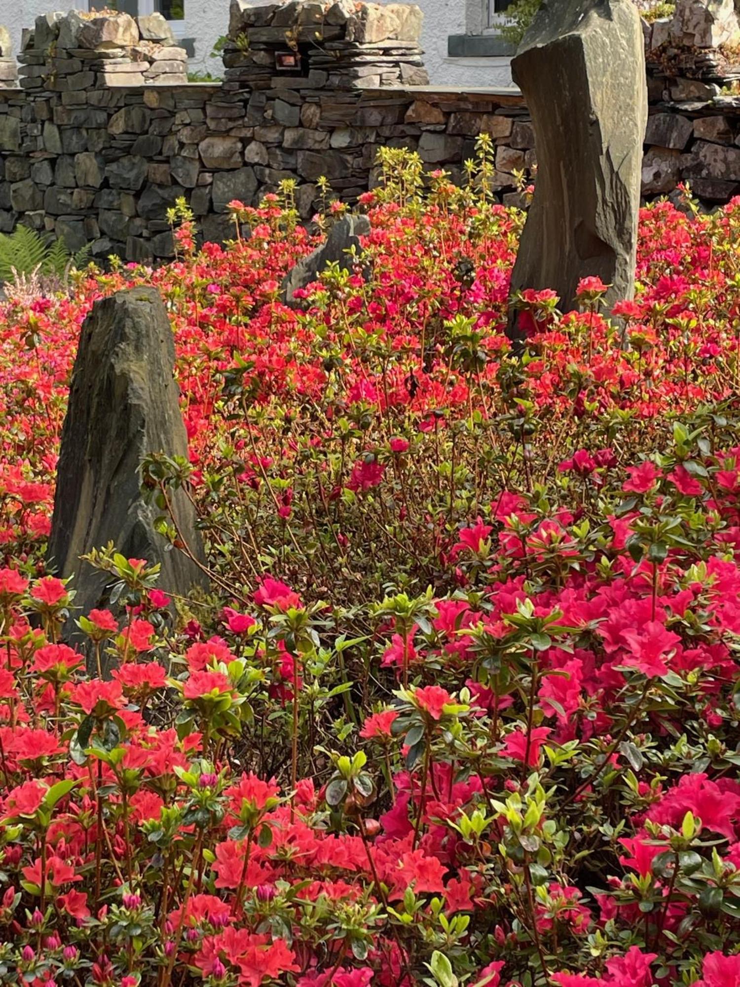 The Leathes Head Hotel Borrowdale Valley Ruang foto